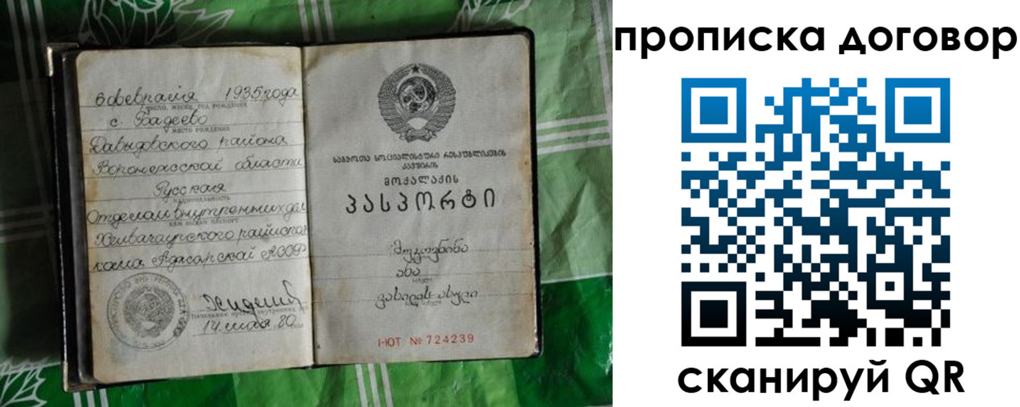 прописка в Электрогорске